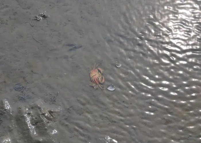 Landskron By Interhome Appartement